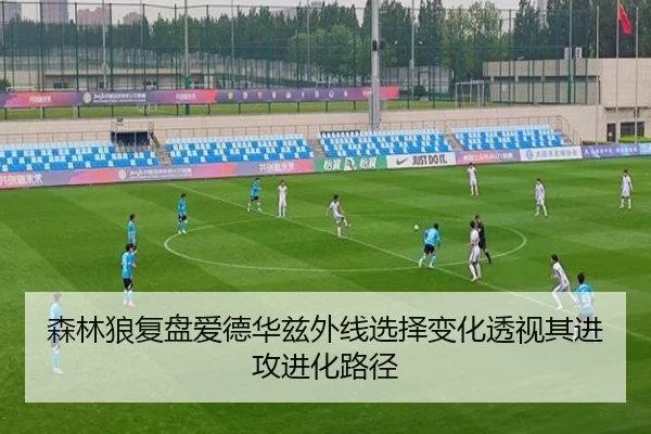 森林狼复盘爱德华兹外线选择变化透视其进攻进化路径